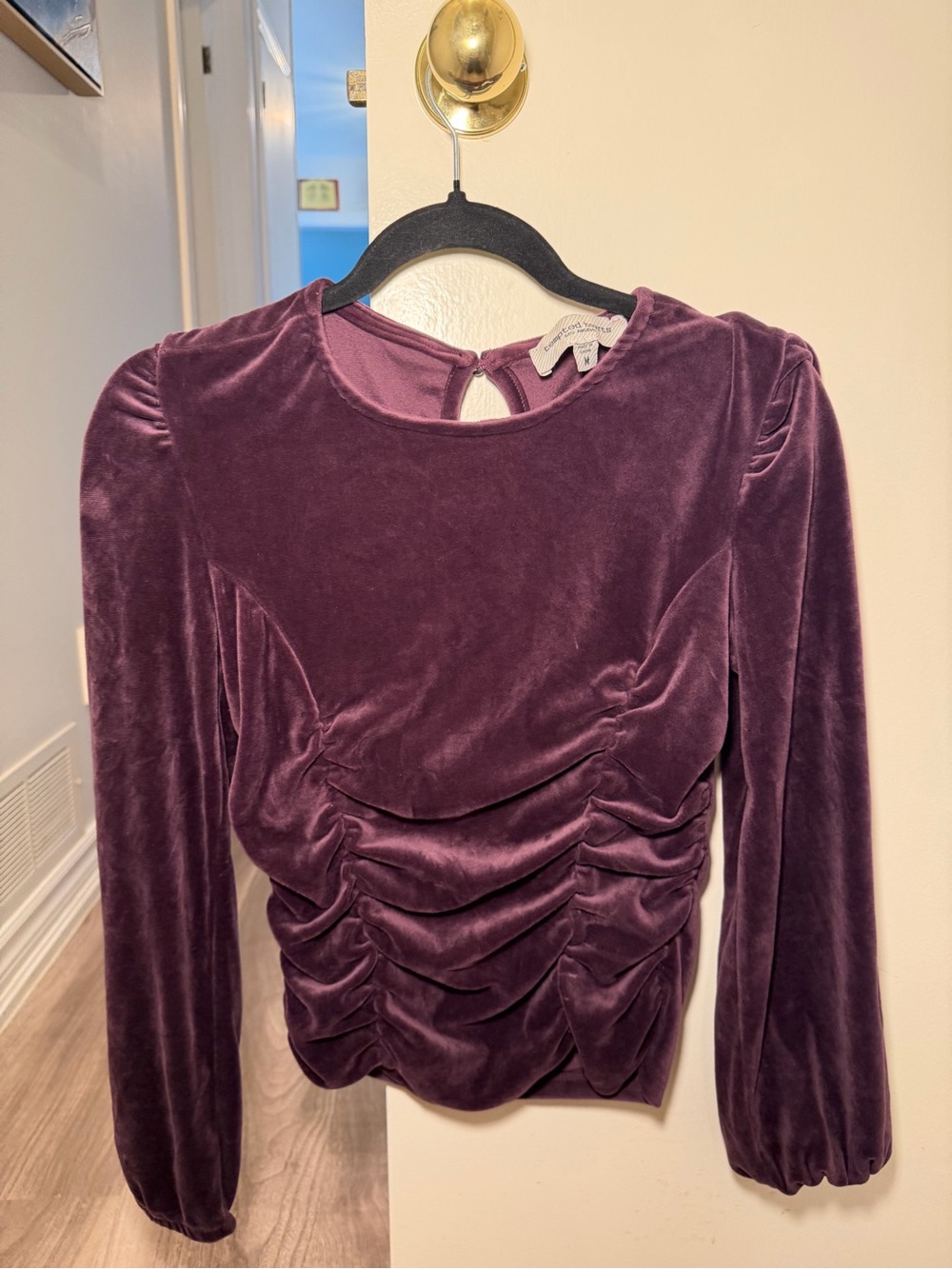 Tempted Hearts Purple Velvet Ruched Long Sleeve Top